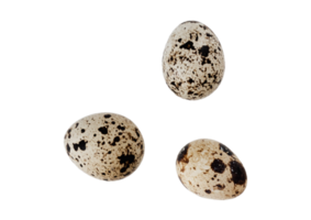 Quail eggs isolated on a transparent background png