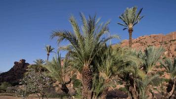 timelapse van de verbazingwekkend tafraoute rots formaties, Marokko video