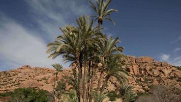 laps de temps de le incroyable tafraoute Roche formations, Maroc video