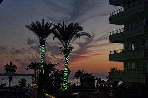 landscape of the setting sun with palm trees and buildings in Alanya Turkey on a holiday day photo