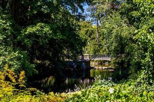 summer landscape with a pond Saski Garden Warsaw Poland green trees warm day photo