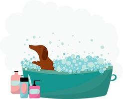Bathing a pet. Dog. Bath. High quality vector image.
