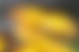 The background is a gradient of abstract yellow mixed with a black color transition. The beautiful yellow and deep brown alternating backdrop is perfect for a website banner photo