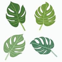 Simplicity monstera leaf freehand continuous line drawing flat design. vector