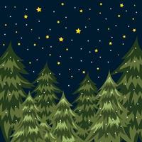 Christmas card. Night winter forest. Christmas trees. High quality vector image.