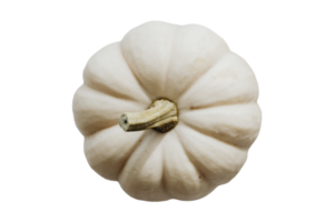 White pumpkin isolated on a transparent background png