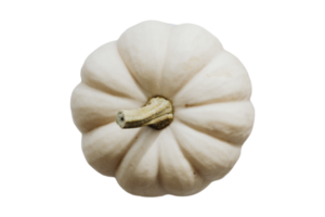 blanco calabaza aislado en un transparente antecedentes png