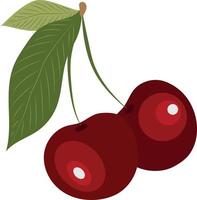 High quality vector illustration. Two cherries on a white background. Isolate.