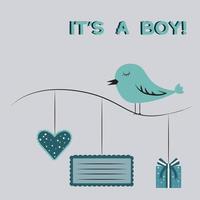 vector image of a metric for the birth of a boy. Bird on a gray background. Nice picture.