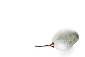 Single Gray mango on white background photo