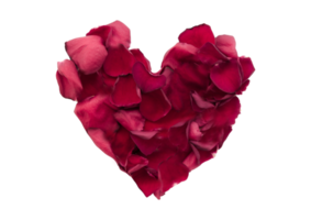 Petals with heart shape isolated on a transparent background png
