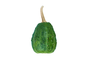 Green pumpkin isolated on a transparent background png