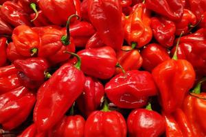 Stack of habanero chilis on a market stall photo