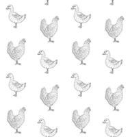 Vector seamless pattern of chicken and duck