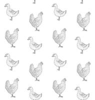 Vector seamless pattern of chicken and duck