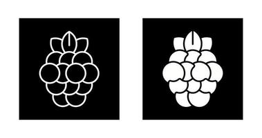 Raspberry Vector Icon