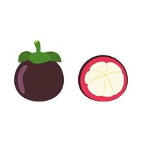 Cartoon mangosteen, purple and white peel fruit. Isolated on white background, flat design, EPS10 vector