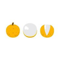 Cartoon longan, peel yellow and white fruit. Isolated on white background, flat design, EPS10 vector