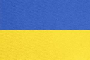 Ukrainian flag painted on cardboard photo