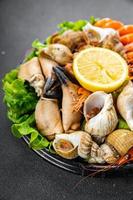 seafood plate assorted shrimps, crab claws, clams, rapan, trumpeter mollusk meal food snack on the table copy space food background rustic top view photo