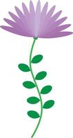 purple color vector flower
