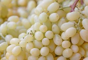 close up of grapes on market photo