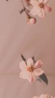 Aesthetic Closeup Pink Flowers And Leaves. Pastel Retro Colors photo