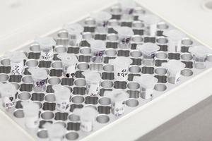 Closeup of test tubes at a thermal cycler block in a molecular biology laboratory. Polymerase chain reaction technique. PCR technique photo