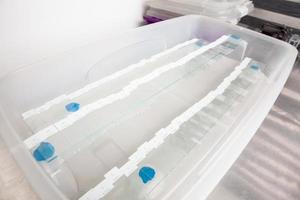 Scientist preparing slides with paraffin embedded tissue samples for immunohistochemistry assay in the laboratory. photo