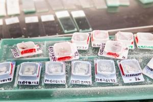 Frozen blocks of paraffin embedded tissue kept cold on ice ready to be cut using a microtome. Paraffin blocks containing biopsy tissue for sectioning. Pathology laboratory. Cancer diagnosis. photo