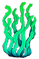verde algas marinas ilustración png