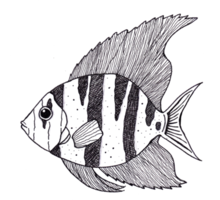 svart och vit fisk illustration png