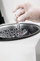 Test tube with bone marrow cells pellet obtained after centrifugation. Scientist preparing bone marrow samples for flow cytometric analysis in the laboratory. photo