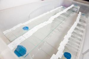 Scientist preparing slides with paraffin embedded tissue samples for immunohistochemistry assay in the laboratory. photo