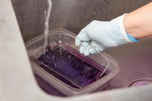 Scientist staining microscope slides for cytology studies in the laboratory. photo