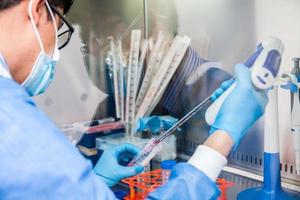 Young scientist working in a safety laminar air flow cabinet at laboratory photo