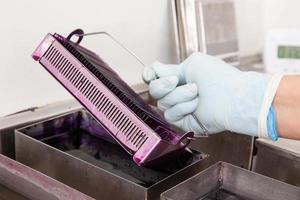 Scientist staining microscope slides for cytology studies in the laboratory. photo
