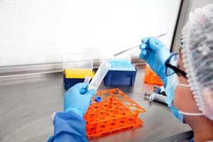 Young female scientist working in a safety laminar air flow cabinet at laboratory photo