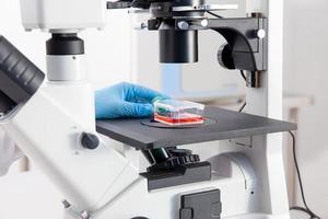 Young female scientist looking at samples under the microscope photo