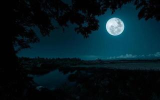 Full moon over the river in the forest at night. Nature background photo