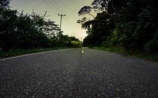 An empty straight road through forest. Morning in woodland with highway photo