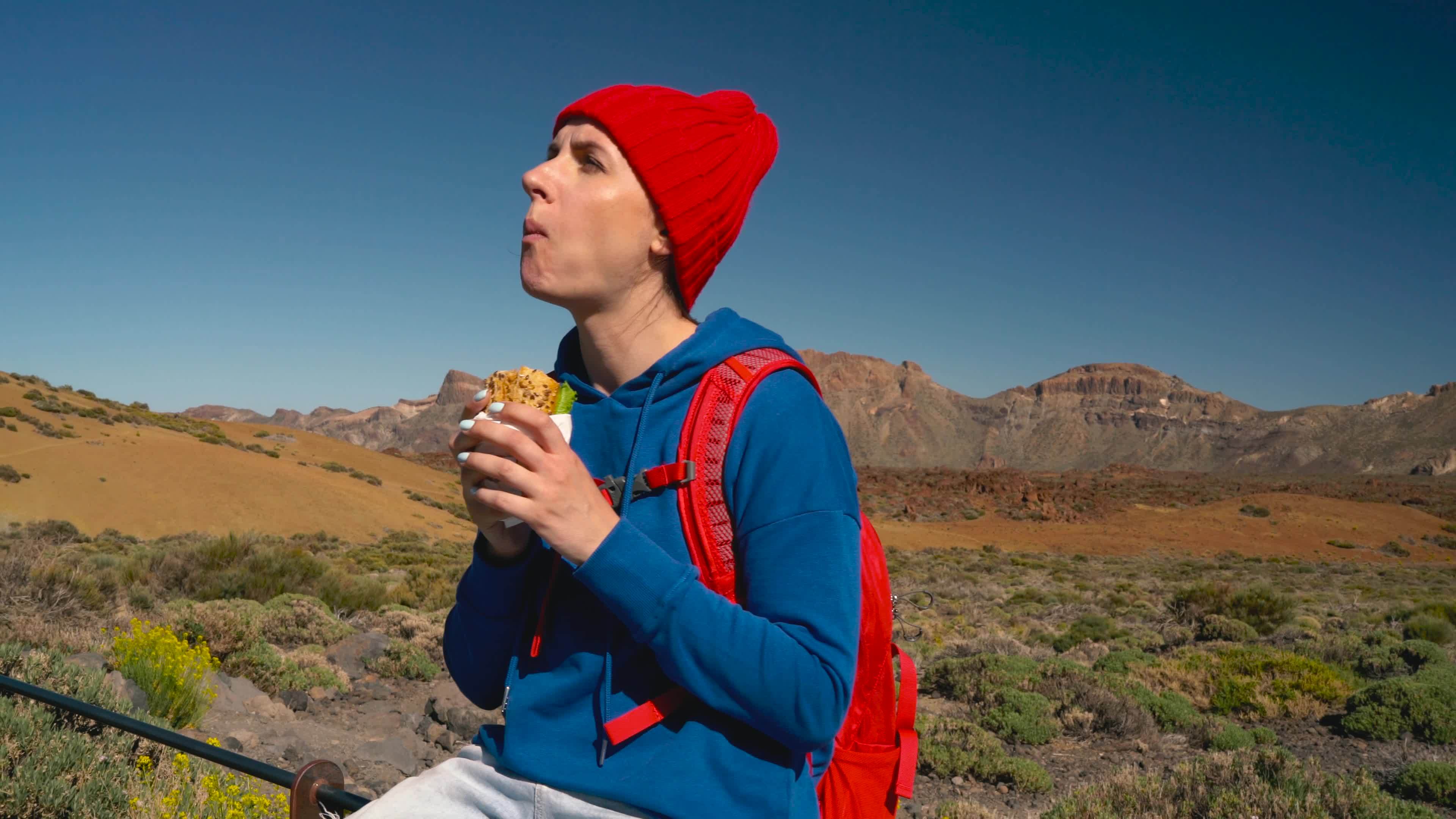 Woman Eating Sandwich Stock Video Footage for Free Download