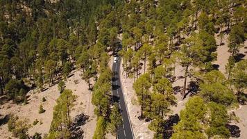 Aerial view of the Teide National Park, flight over the mountains and hardened lava. Tenerife, Canary Islands video