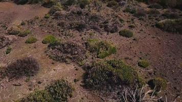 antenne visie van de teide nationaal park, vlucht over- de bergen en gehard lava. tenerife, kanarie eilanden video