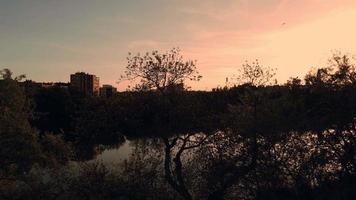 aéreo ver de zaragoza en España durante puesta de sol video