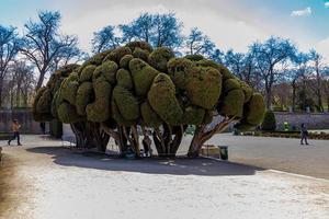 Retiro park in madrid spain in spring day  landscape photo