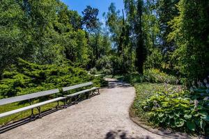 verano paisaje con un estanque saski jardín Varsovia Polonia verde arboles calentar día foto