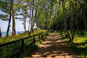 verano paisaje mar y arboles escarpa en jastrzebia gora Polonia en un calentar día la carretera en el bosque foto