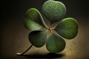 a four-leaf clover. . photo