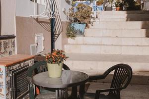 tomato plant in a pot on a table in a street in the historic part of the city of Alicante Spain on a sunny day photo